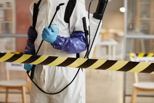 Professional Sewage Cleanup technician working in Boswell, IN